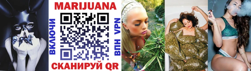 Конопля OG Kush Балтийск